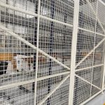 Cage installation (1)