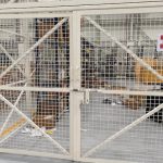 Cage installation (2)