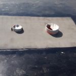 IMG_20151215_103109370